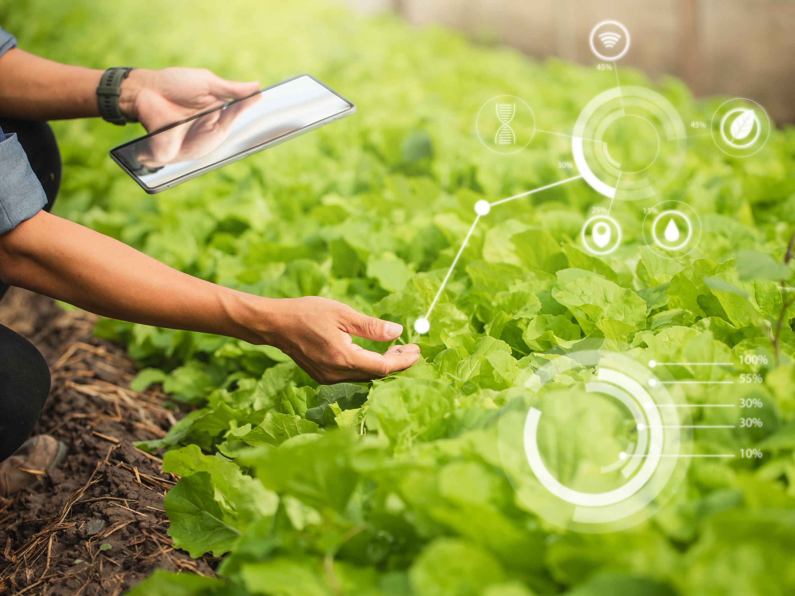 Наука в сельском хозяйстве. Агросопровождение. Transition to Modern Technologies in Agriculture. 3d men Agriculture. Quality Mark Grade 1 Agriculture.